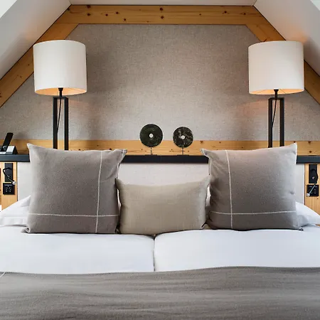 Grand View - Gstaad Alpehytte
