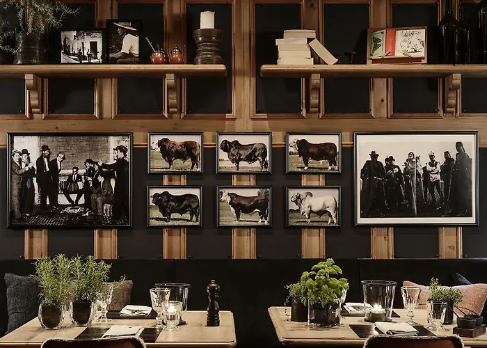 Alpstuga Grand View - Gstaad